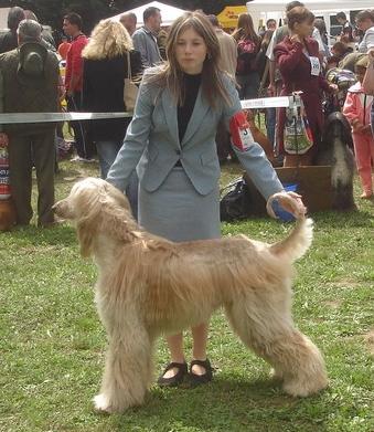 handling (98).jpg